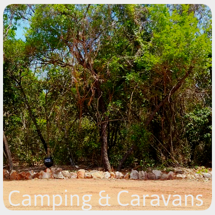 Camping and Caravans