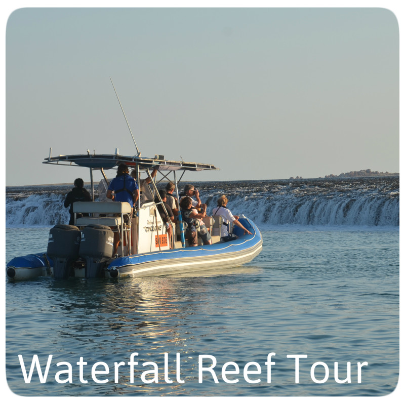 Waterfall Reef Tour