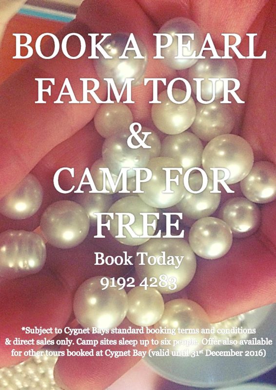Book a tour and camp for free page 001