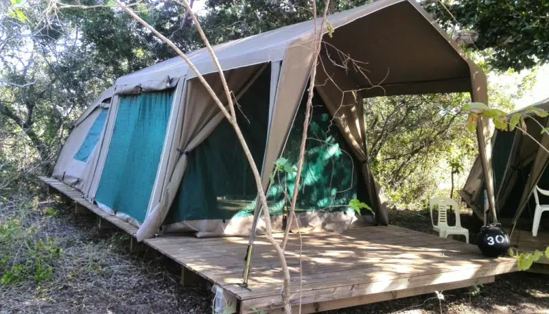 Basic Bush Tents 1